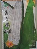 海玉糯2000